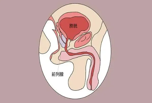 注意！縱欲和禁欲，最受傷的還是男人的這個(gè)器官！(圖1)