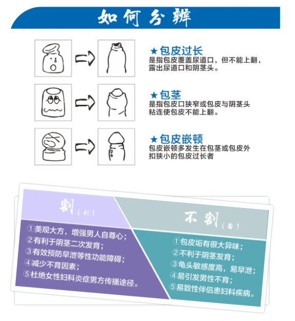 包皮過長丨別讓精彩世界被它遮?。?圖1)